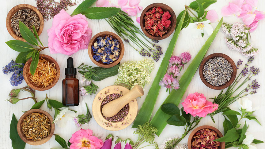 Organic Beauty Unmasked: Unveiling the Truths Behind Natural Makeup